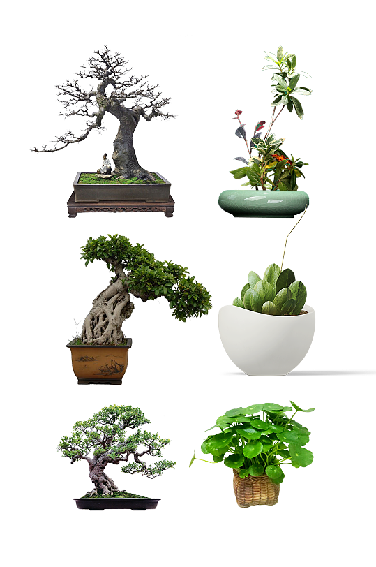 艺术盆景图片-艺术盆景素材下载-众图网