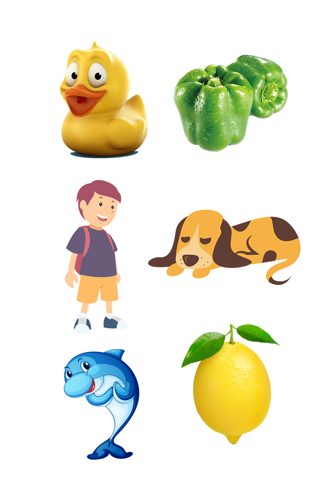 狗狗幼儿启蒙教学看图免扣素材