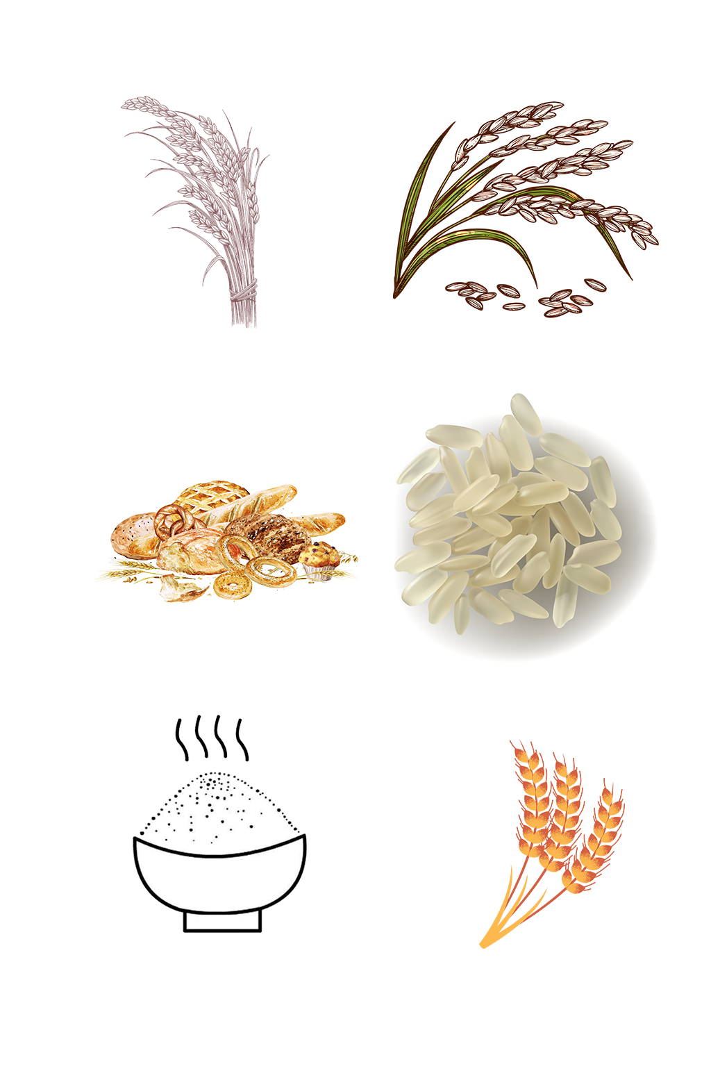 手绘粮食水稻麦子田地免扣元素006素材