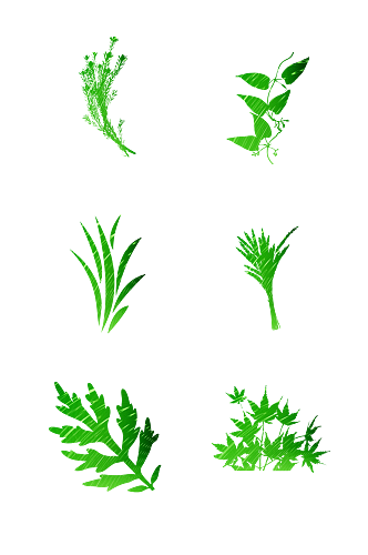 手绘绿色植物青草图标免扣元素017