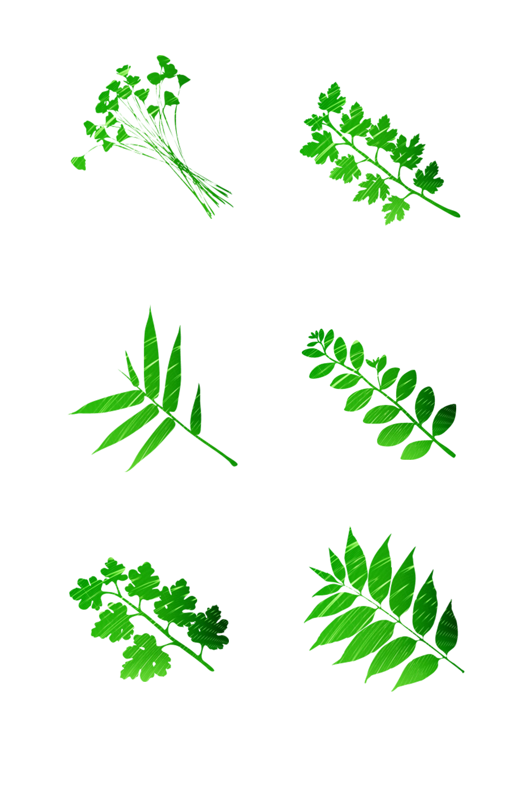手绘绿色植物青草图标免扣元素018素材