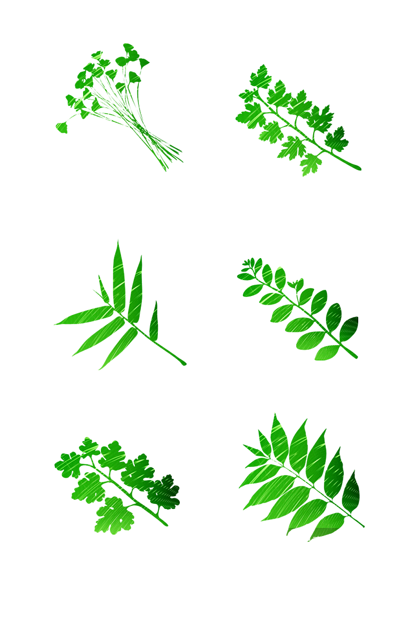 手绘绿色植物青草图标免扣元素018素材