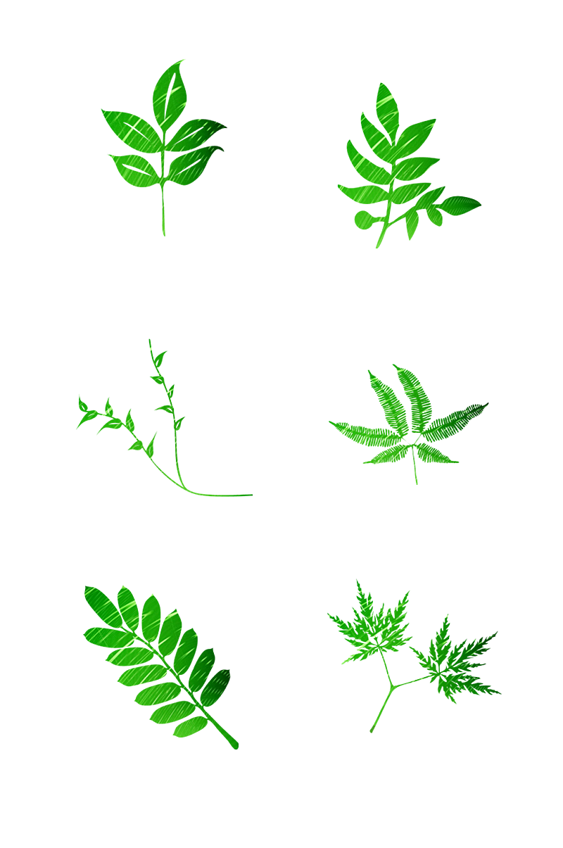 手绘绿色植物青草图标免扣元素021素材