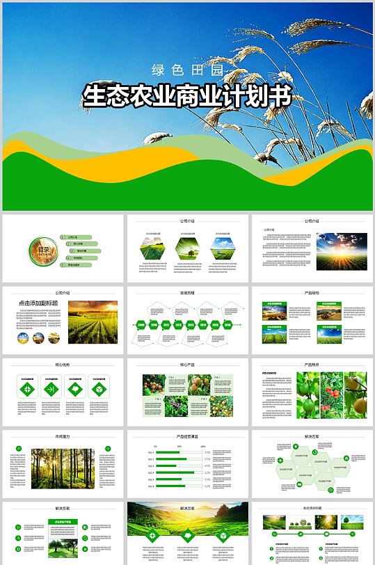 生态农业乡村田园商业计划报告动态模板
