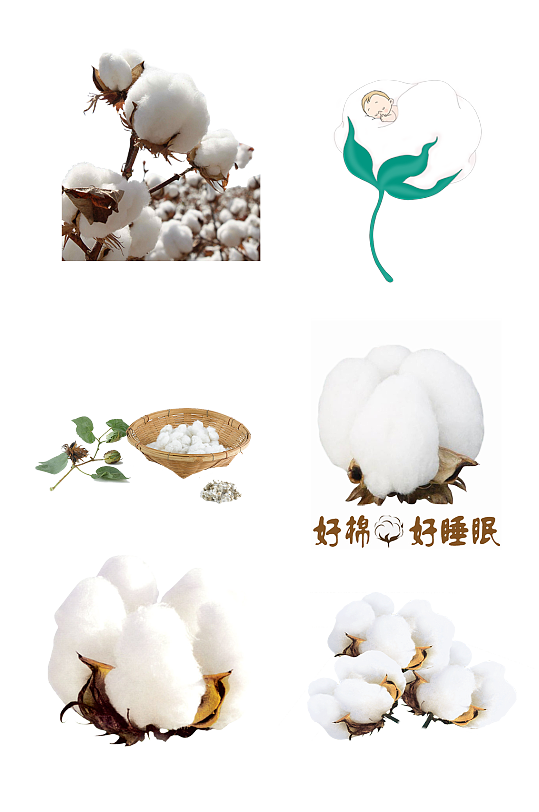 棉花农作物棉絮生长免抠元素