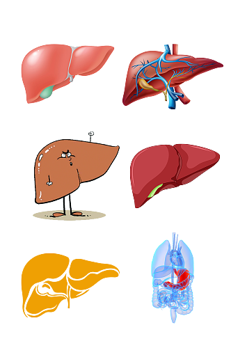 人体五脏手绘肝脏示意图免抠元素