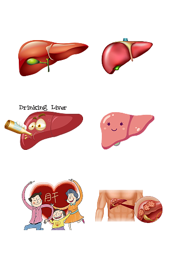人体医学五脏手绘肝脏示意图免抠元素