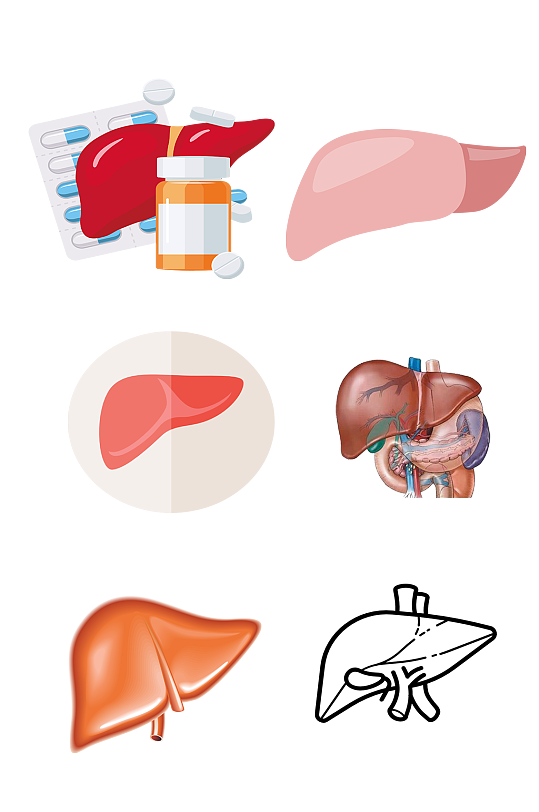 人体医学五脏手绘肝脏示意图免抠元素