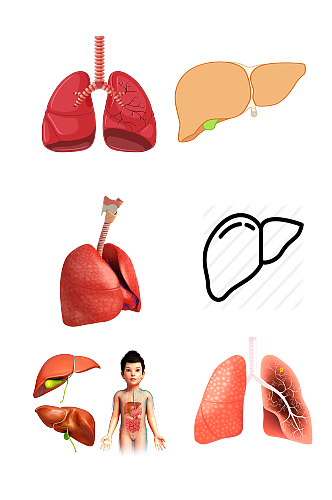人体医学五脏手绘肝脏示意图免抠元素