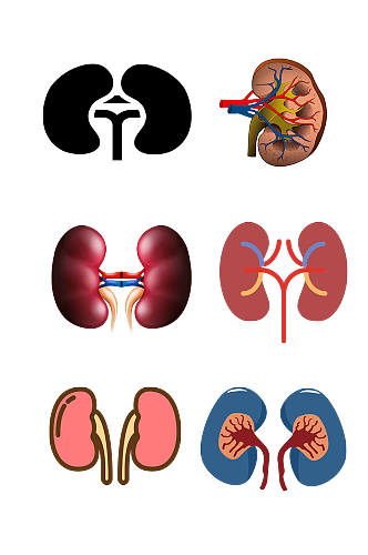 人体解刨五脏手绘肾脏示意图免抠元素