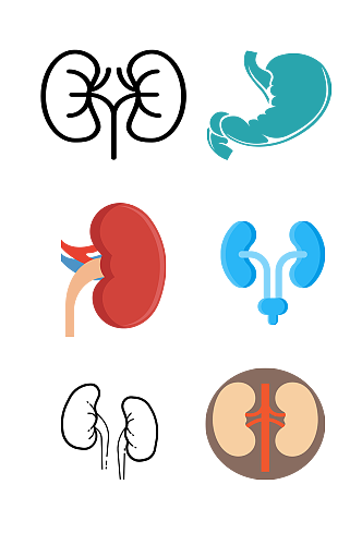 人体解刨五脏手绘肾脏示意图免抠元素