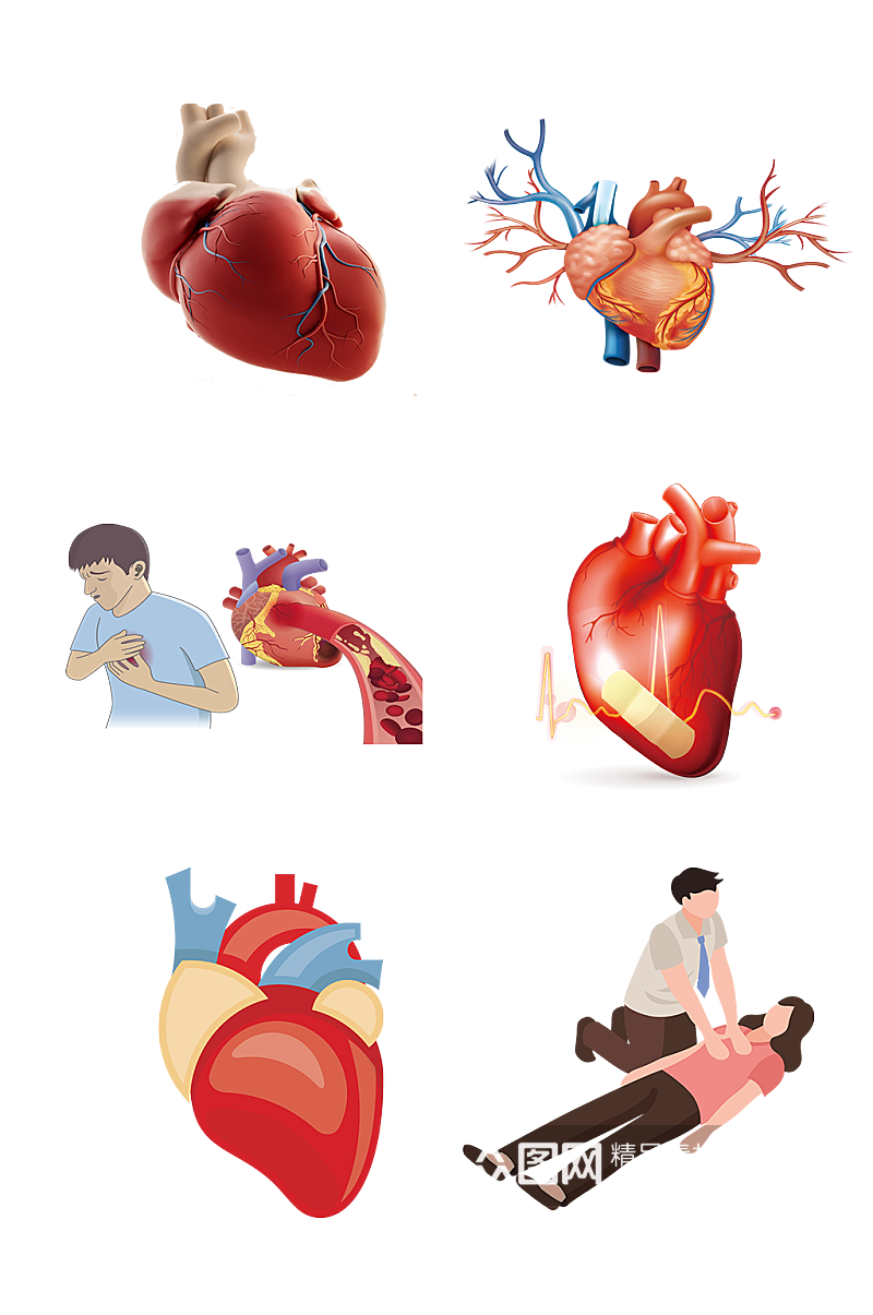 人体五脏手绘心脏示意图免抠元素素材