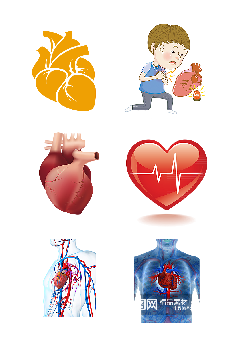 人体五脏手绘心脏示意图免抠元素素材