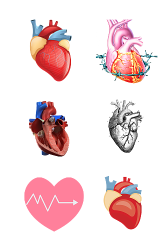 人体五脏手绘心脏示意图免抠元素