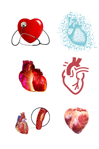 人体五脏手绘心脏示意图免抠元素