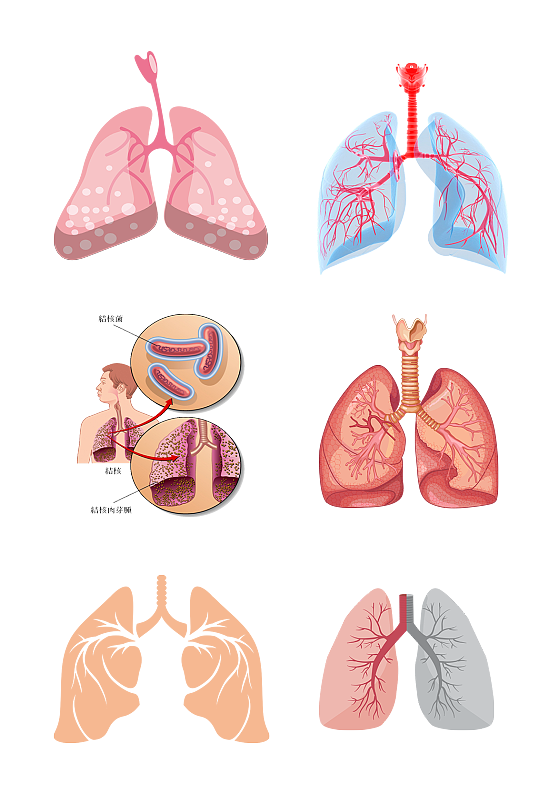 呼吸人体五脏手绘肺部示意图免抠元素