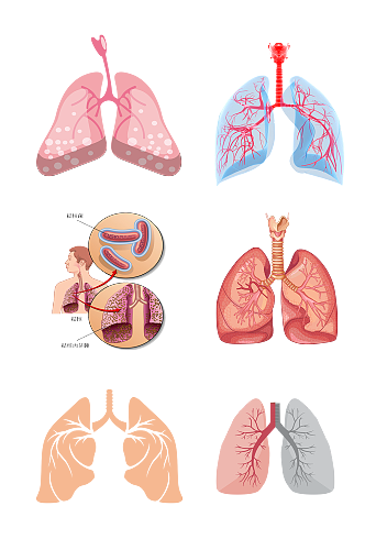 呼吸人体五脏手绘肺部示意图免抠元素