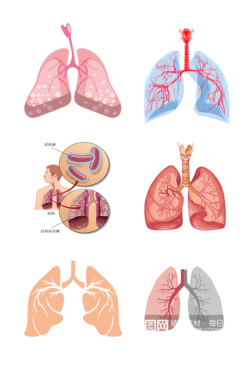 呼吸人体五脏手绘肺部示意图免抠元素素材