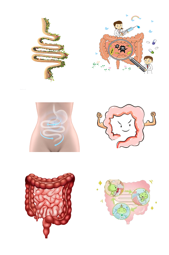 人体六腑手绘肠道示意图免抠元素