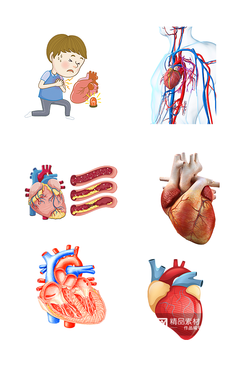 人体心脏组织心跳解刨免抠元素素材