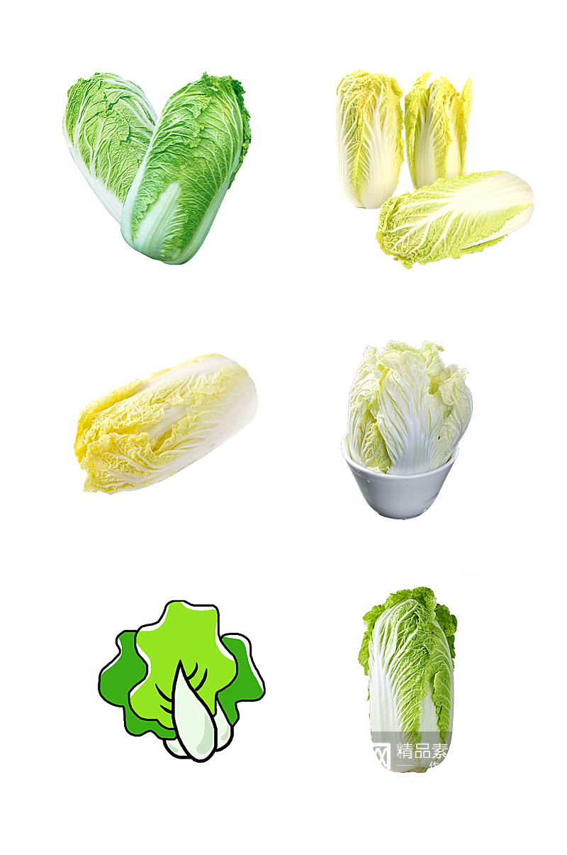 大白菜种植农副产品免抠元素素材