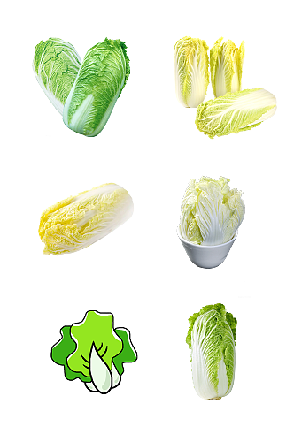 大白菜种植农副产品免抠元素