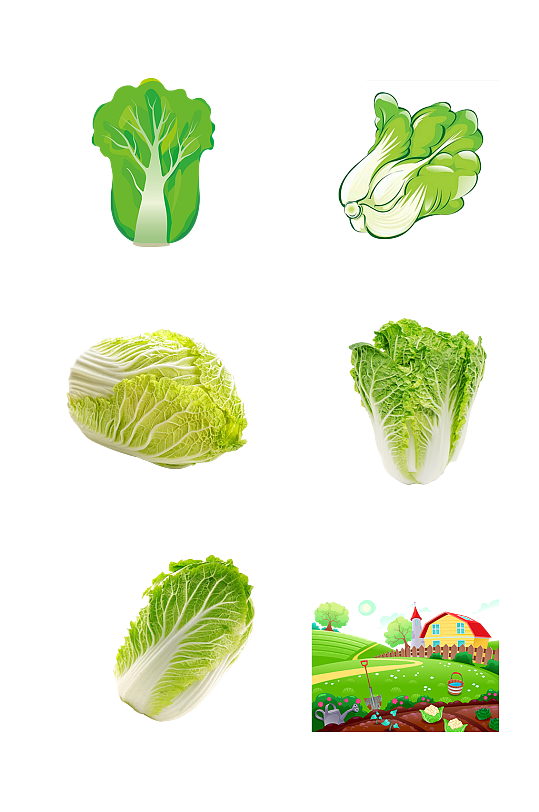 大白菜种植基地农副产品免抠元素