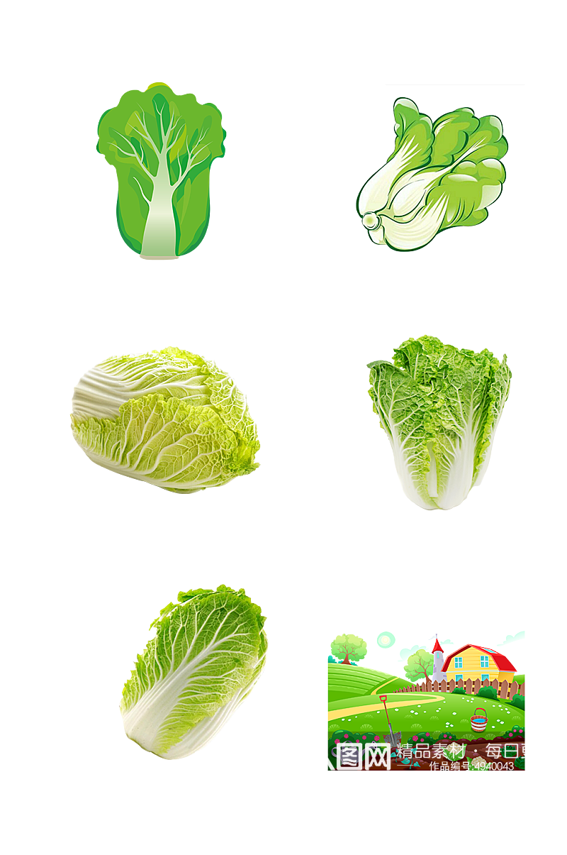 大白菜种植基地农副产品免抠元素素材