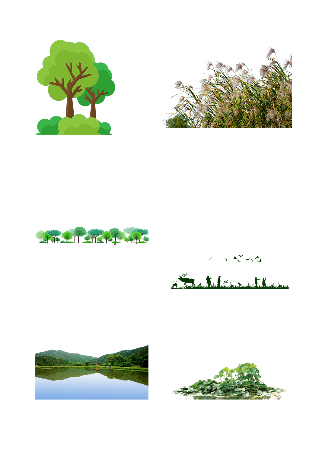 湿地大自然风景绿地草地树木免抠元素素材