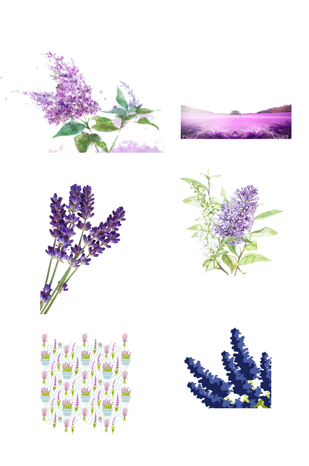 紫色薰衣草花卉花海手绘装饰免抠元素素材