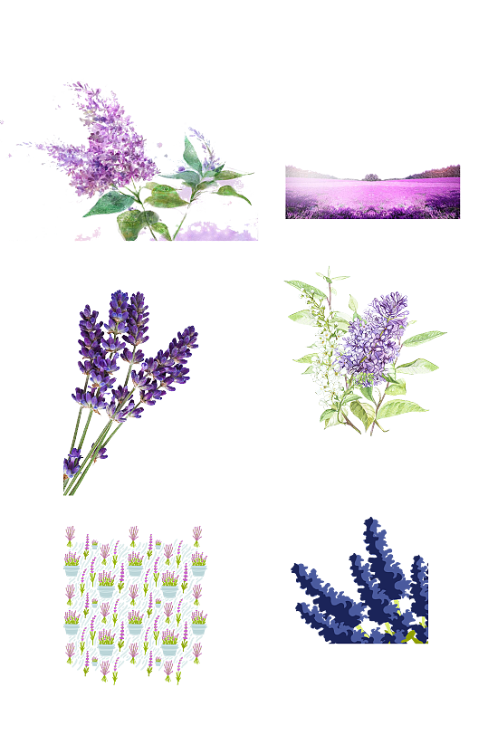 紫色薰衣草花卉花海手绘装饰免抠元素