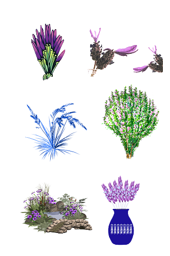 紫色薰衣草花卉花海手绘装饰免抠元素