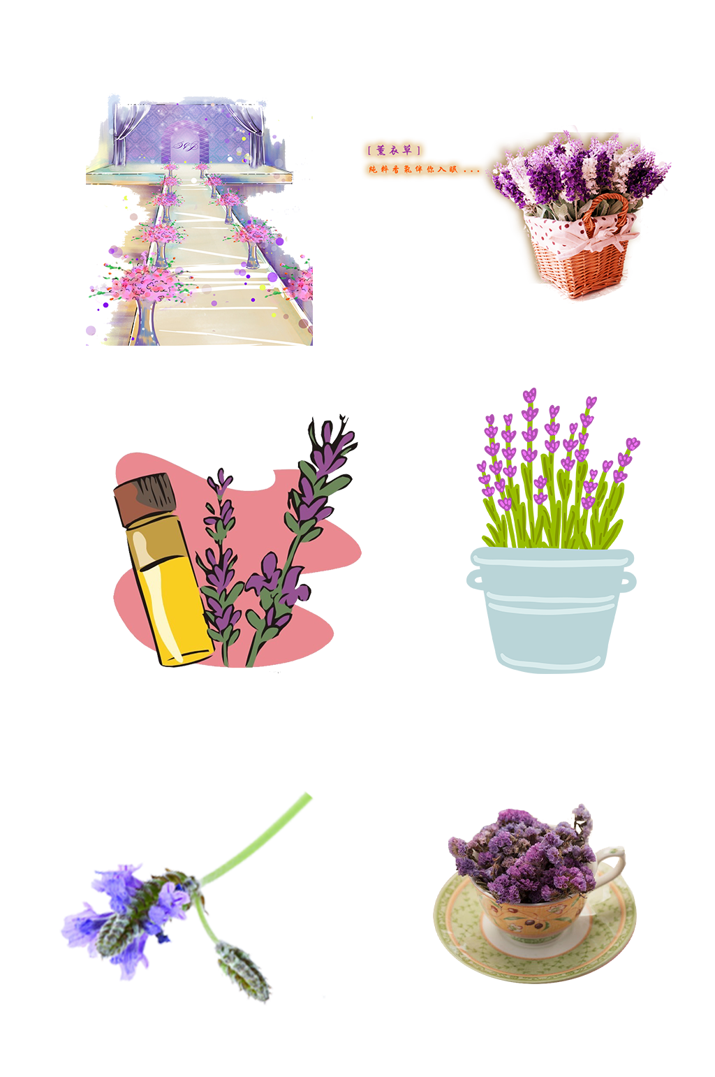 薰衣草花卉花海手绘装饰免抠元素素材