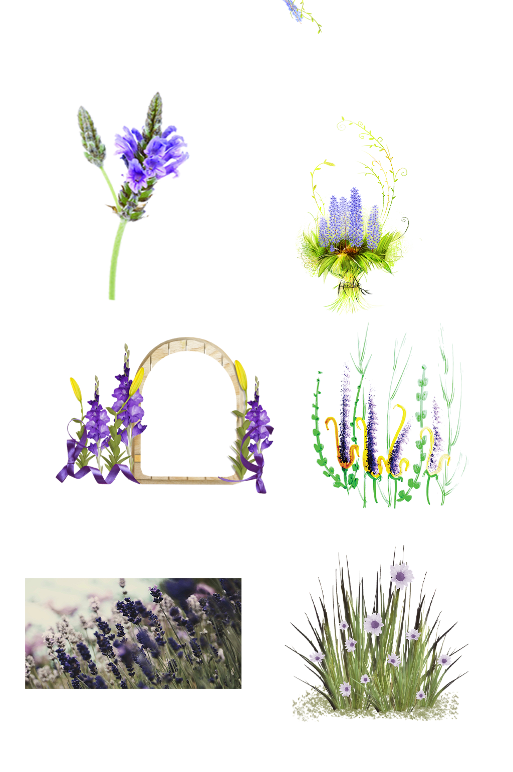 薰衣草花地花卉花海手绘装饰免抠元素素材