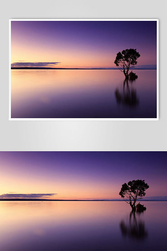 唯美湿地湖泊树木黄昏夜景摄影图片