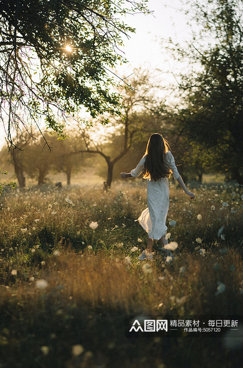 草地树林穿白裙子的女孩背影阳光摄影图片素材