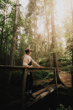 丛林木桥上的女孩旅游胜地摄影图片