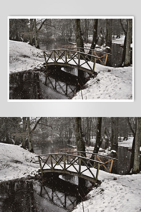 冬季丛林雪地木桥树林摄影图片