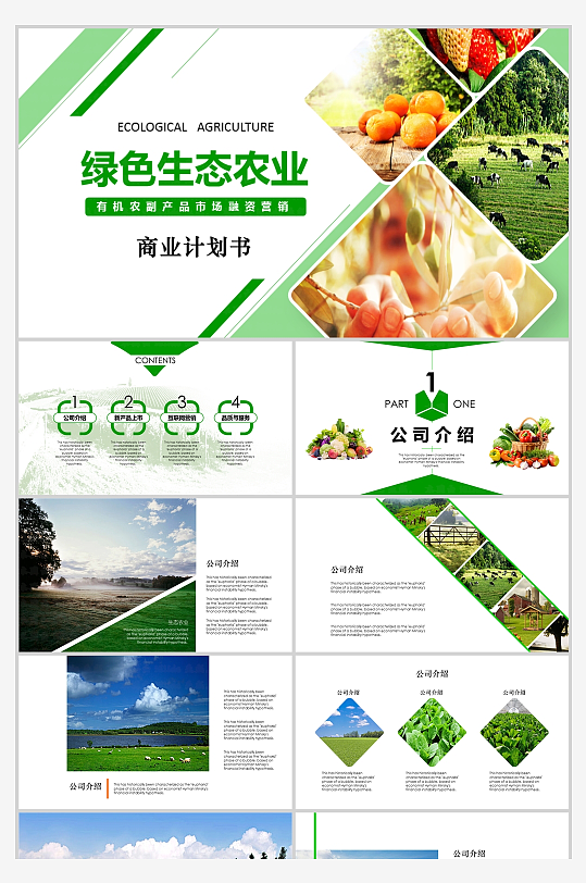 绿色生态农业商业投资商业计划书模板