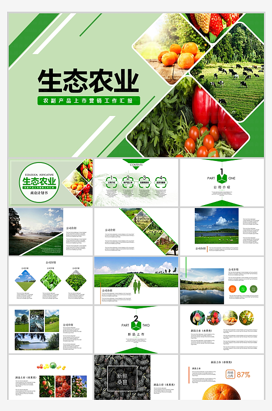 生态农业农副产品营销工作汇报PPT