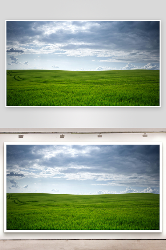 草原牧场大草原草地放牧湿地田野01-众图网