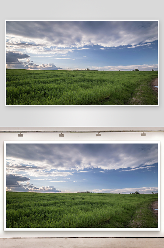 草原牧场大草原草地放牧湿地田野03-众图网