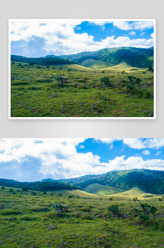 草原牧场大草原草地放牧湿地田野04-众图网