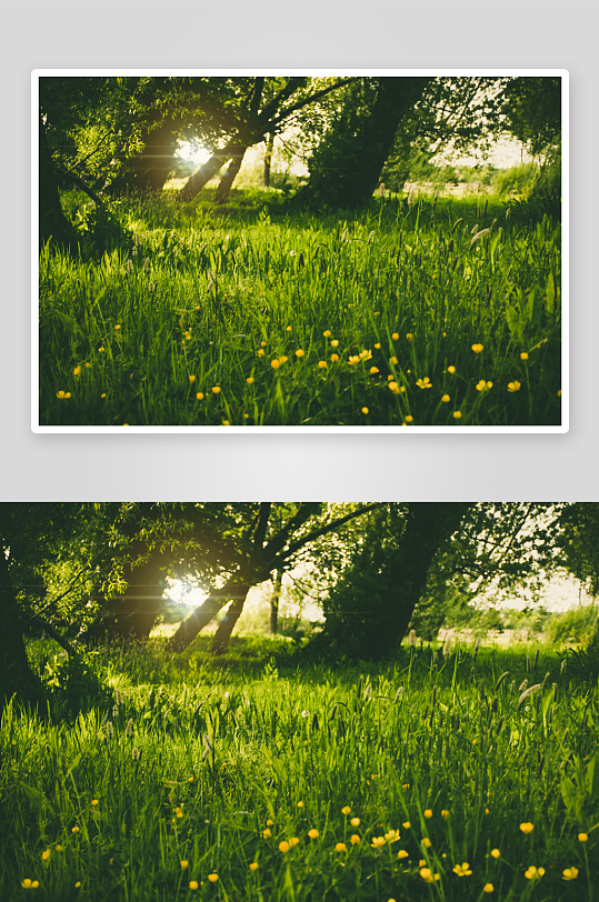 草原牧场大草原草地放牧湿地田野05-众图网