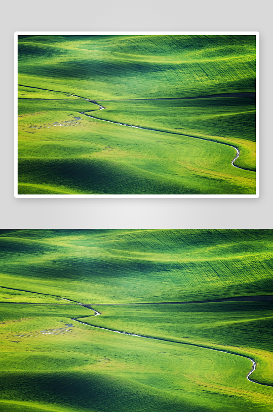 草原牧场大草原草地放牧湿地田-众图网