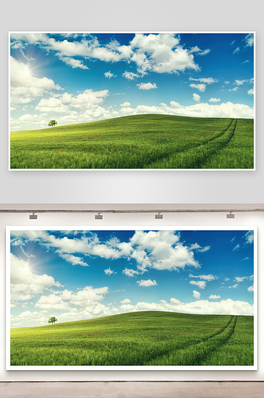 草原牧场大草原草地放牧湿地田-众图网