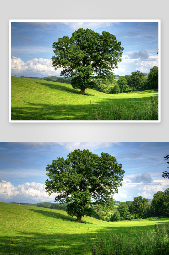 草原牧场大草原草地放牧湿地田-众图网