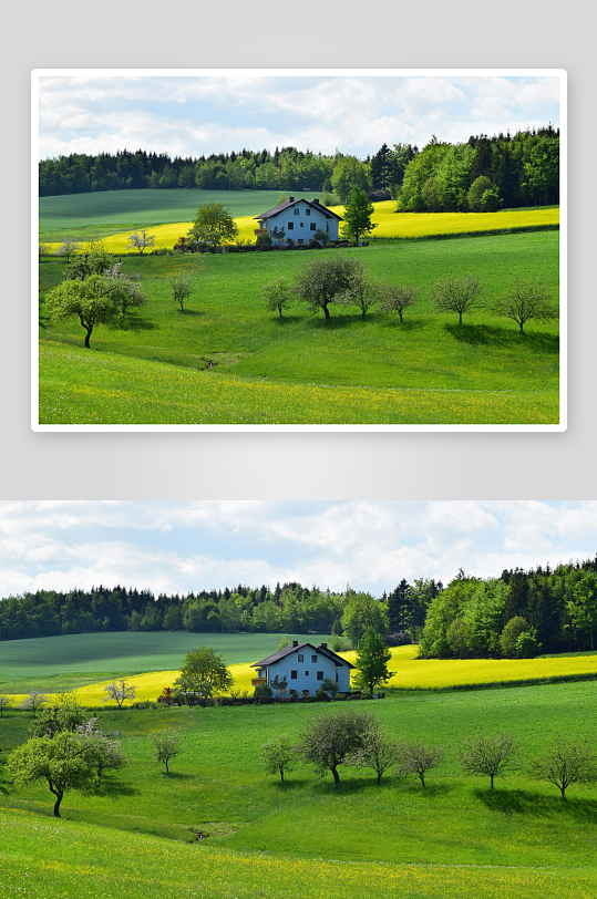 草原牧场大草原草地放牧湿地小路-众图网