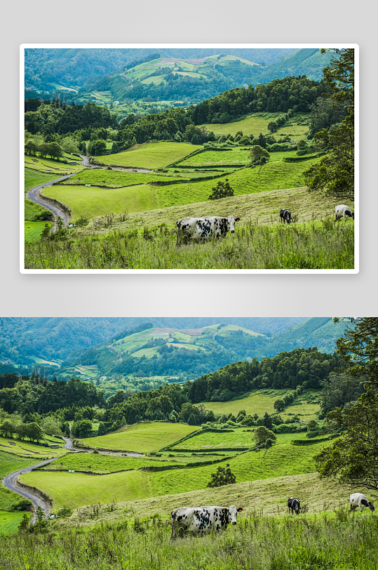 草原牧场大草原草地放牧湿地小路-众图网