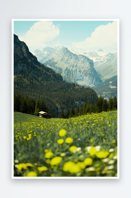 瑞士乡村草地瑞士风土人情野花美丽乡村-众图网
